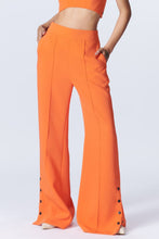 Load image into Gallery viewer, Aditi Crop Suit